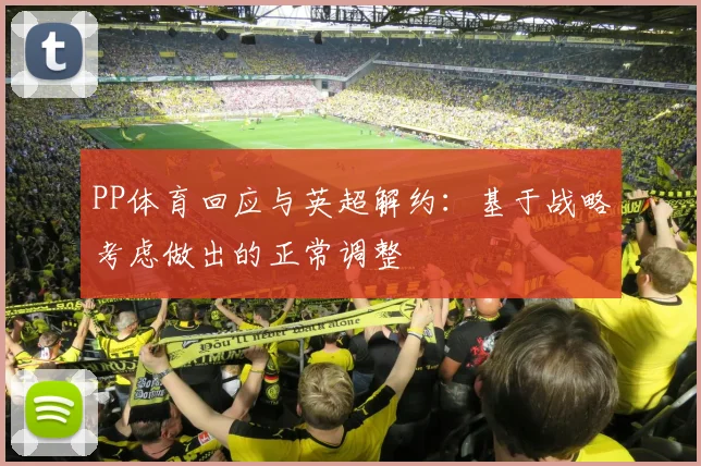 PP体育回应与英超解约：基于战略考虑做出的正常调整