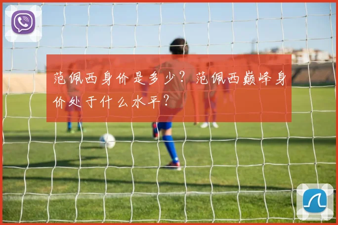 范佩西身价是多少？范佩西巅峰身价处于什么水平？