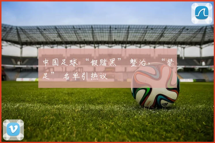 中国足球 “假赌黑” 整治，“禁足” 名单引热议